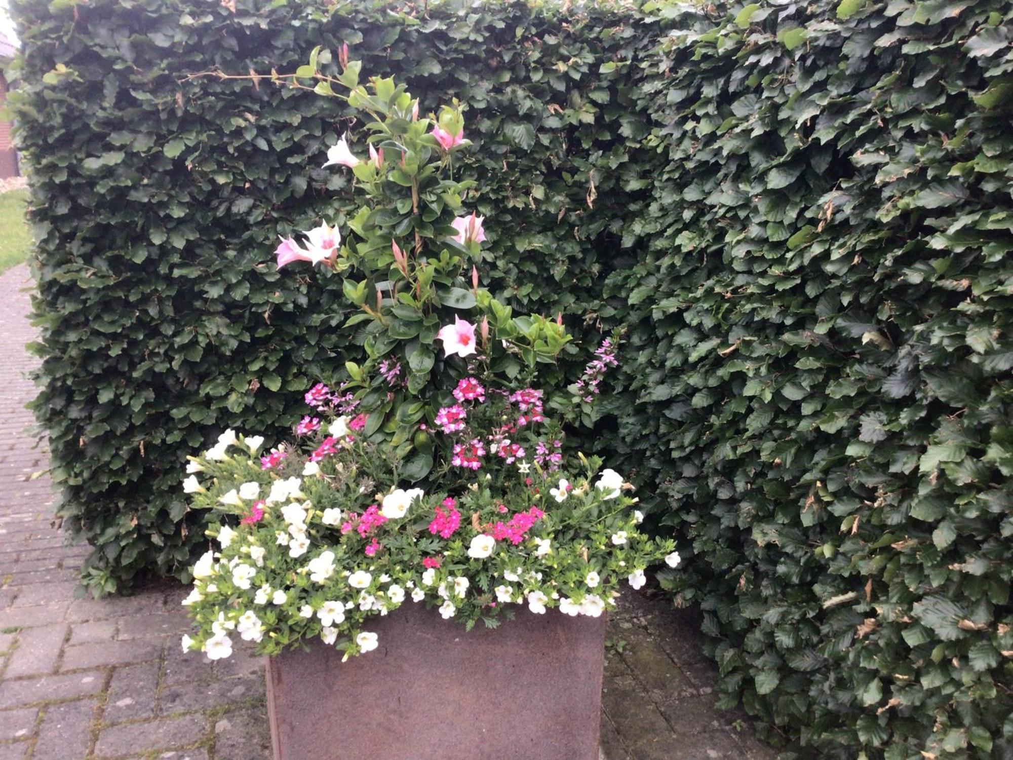 B&B De Veluwe Hoeve エールベーク エクステリア 写真